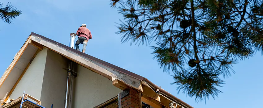 Birds Removal Contractors from Chimney in Lake Ronkonkoma, NY